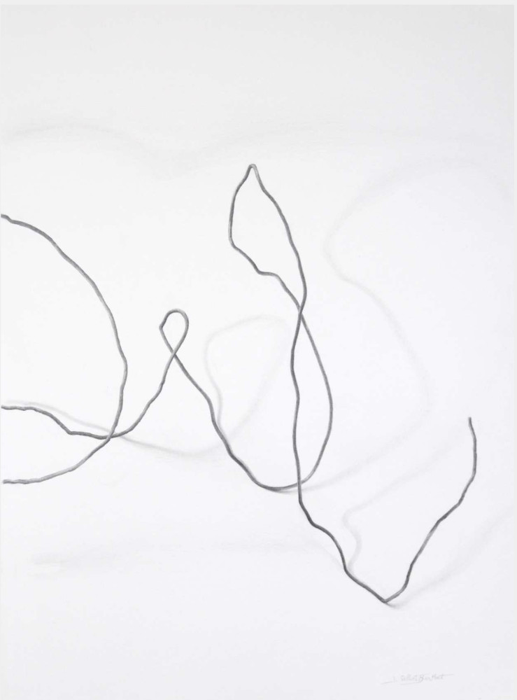 Dessin%20Janine%20Berthet%20_1