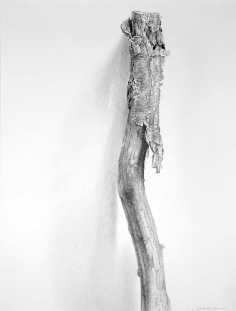 Dessin%20Janine%20Berthet%20_2