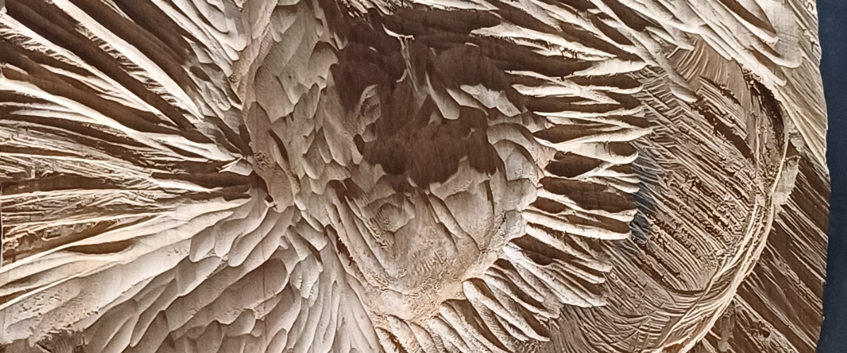 détail%20relief%20aulne