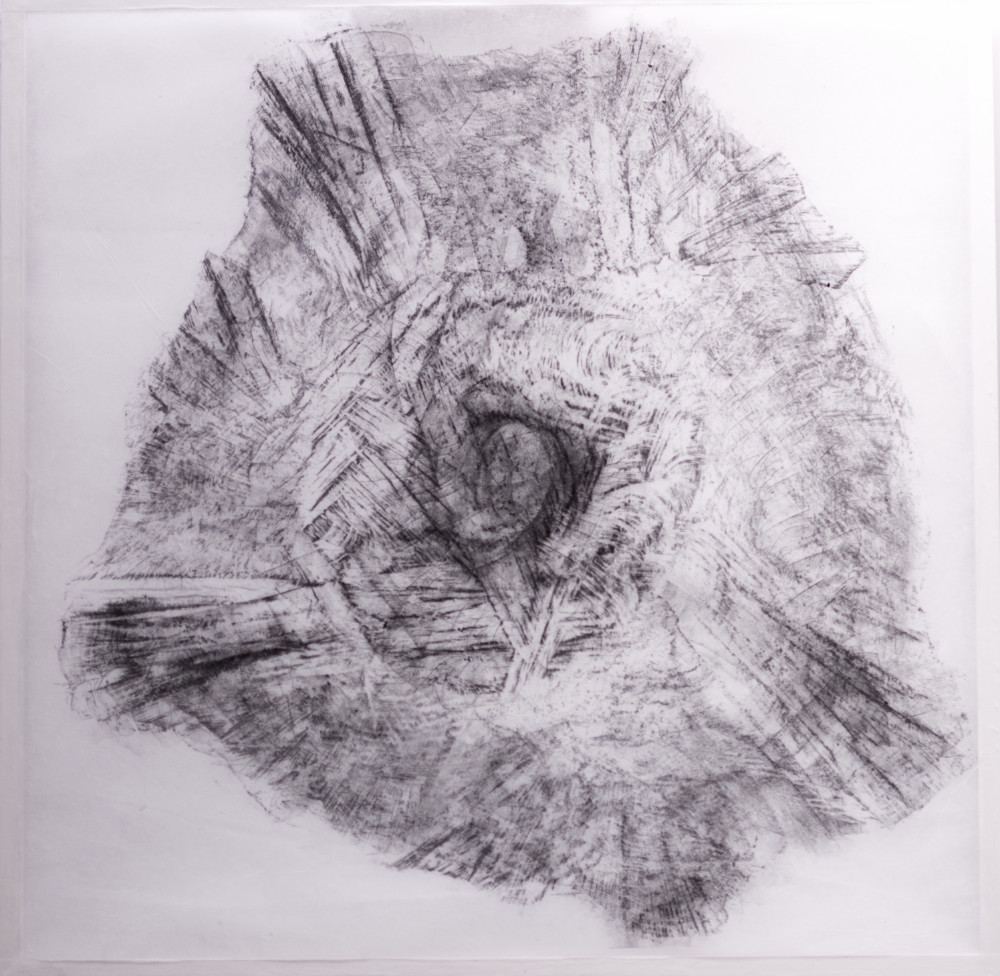 inst%20arbre%20gravure%207