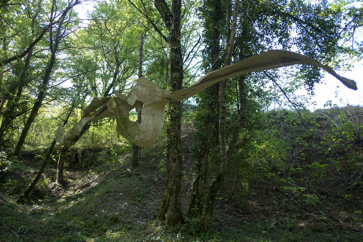 choregraphie%20bronze